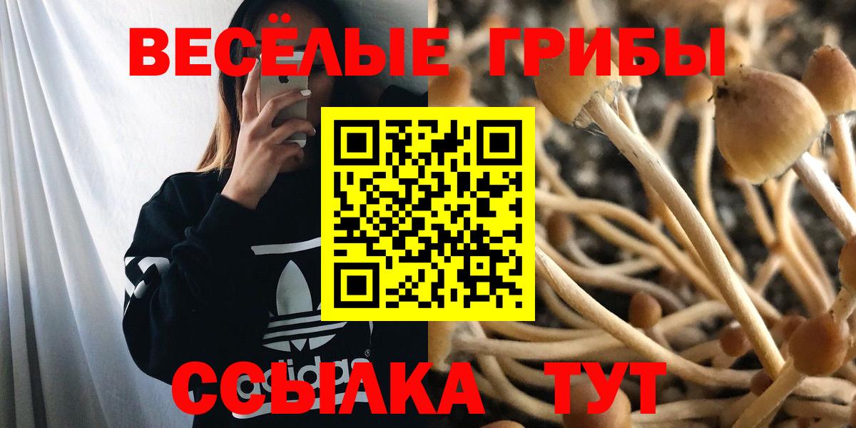 Ставрополь  Псилоцибиновые грибы MAGIC MUSHROOMS  Вход с VPN 